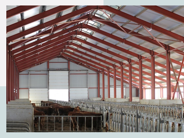 Строительство коровников в Фурманове