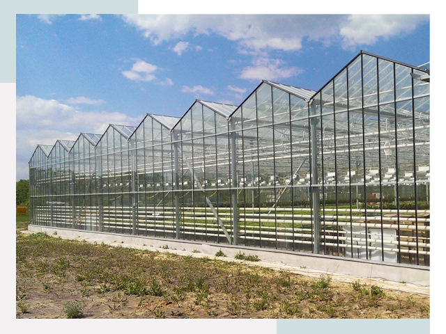 Строительство теплиц в Фурманов от 611 руб. за м²